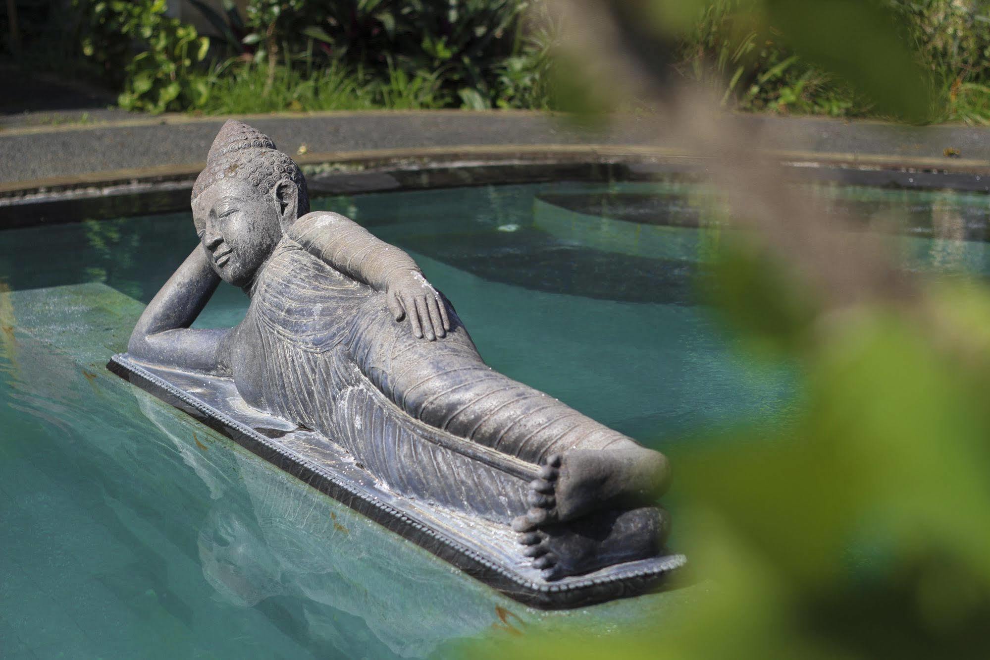 Rona Accommodation Ubud Exteriör bild