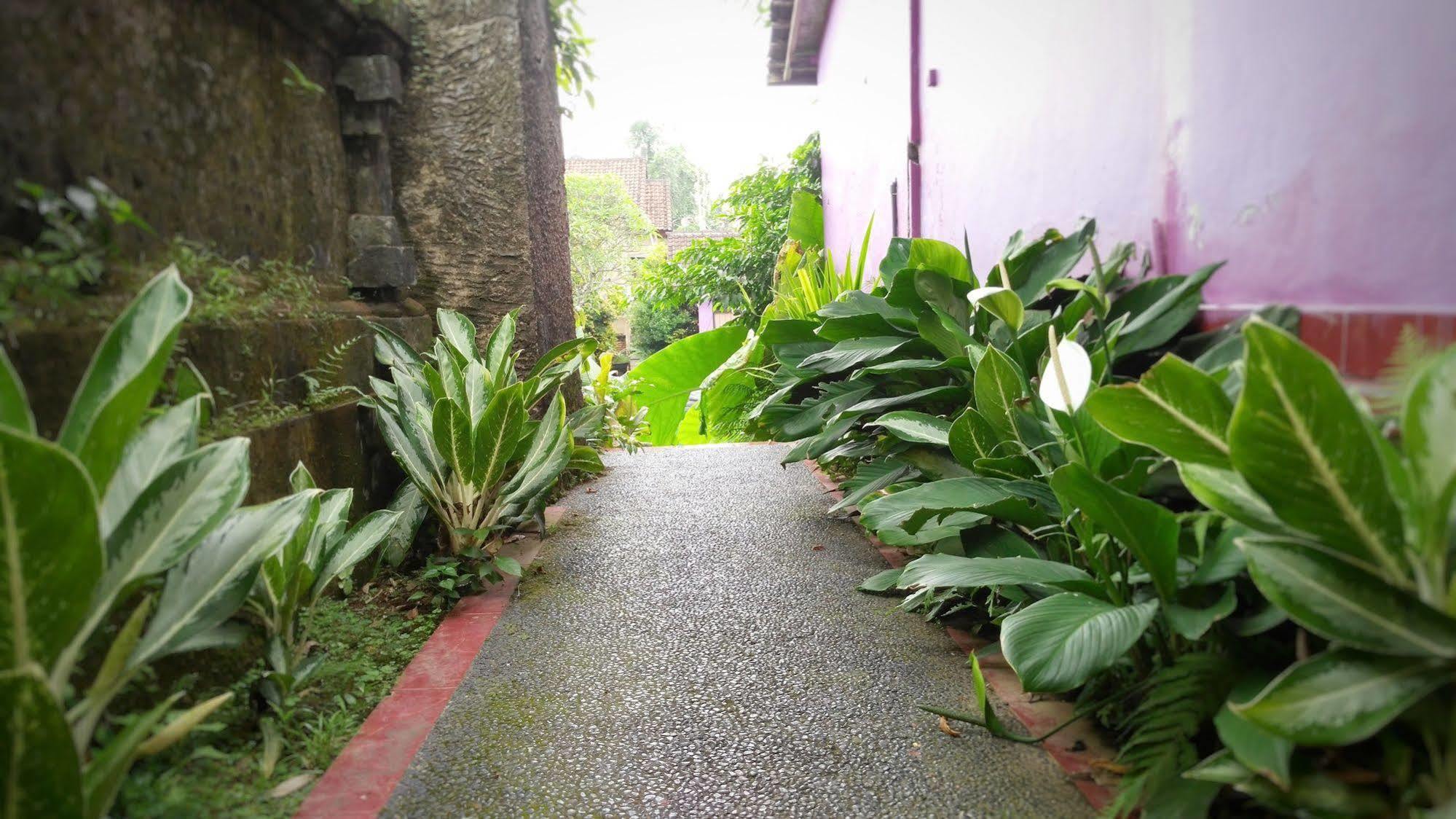 Rona Accommodation Ubud Exteriör bild